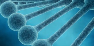 Natural selection’s reach extends beyond genome into epigenome, research Natural selection's reach extends beyond genome into epigenome, research