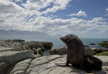 New Zealand charts fourth hottest year, Report New Zealand charts fourth hottest year, Report