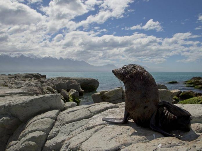 New Zealand charts fourth hottest year, Report