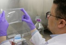 Novel composite antimicrobial film could take a bite out of foodborne illnesses (Study) Novel composite antimicrobial film could take a bite out of foodborne illnesses (Study)