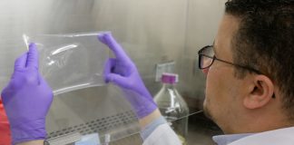 Novel composite antimicrobial film could take a bite out of foodborne illnesses (Study) Novel composite antimicrobial film could take a bite out of foodborne illnesses (Study)