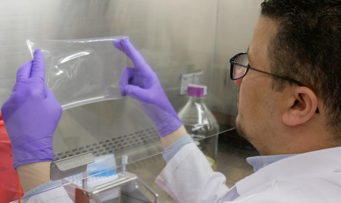 Novel composite antimicrobial film could take a bite out of foodborne illnesses (Study)