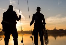 Report: A model ecosystem fish story Report: A model ecosystem fish story