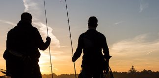 Report: A model ecosystem fish story Report: A model ecosystem fish story