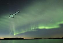 Report: Citizen science discovers a new form of the northern lights Report: Citizen science discovers a new form of the northern lights