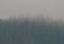 Report: Exploring the impact of wildfire smoke in Western Canada Report: Exploring the impact of wildfire smoke in Western Canada