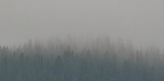 Report: Exploring the impact of wildfire smoke in Western Canada Report: Exploring the impact of wildfire smoke in Western Canada