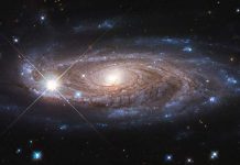 Report: NASA’s Hubble Surveys Gigantic Galaxy Report: NASA's Hubble Surveys Gigantic Galaxy
