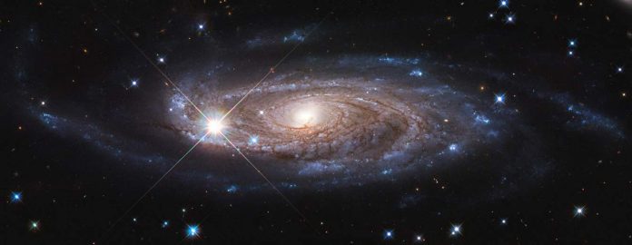 Report: NASA's Hubble Surveys Gigantic Galaxy