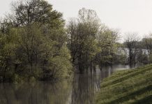 Research Finds Flooding Damage to Levees is Cumulative – and Often Invisible Research Finds Flooding Damage to Levees is Cumulative – and Often Invisible