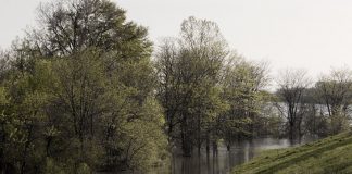 Research Finds Flooding Damage to Levees is Cumulative – and Often Invisible Research Finds Flooding Damage to Levees is Cumulative – and Often Invisible