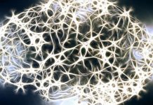 Researchers breach brain barriers to attack tumors Researchers breach brain barriers to attack tumors