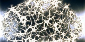 Researchers breach brain barriers to attack tumors Researchers breach brain barriers to attack tumors