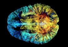 Researchers discover new truths about the adolescent mind Researchers discover new truths about the adolescent mind