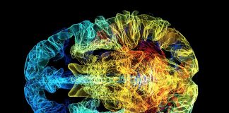 Researchers discover new truths about the adolescent mind Researchers discover new truths about the adolescent mind