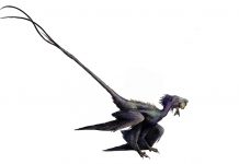 Study: Pocket-size raptor sheds new light on the links between dino Study: Pocket-size raptor sheds new light on the links between dino