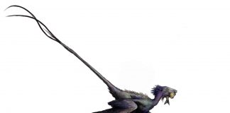 Study: Pocket-size raptor sheds new light on the links between dino Study: Pocket-size raptor sheds new light on the links between dino