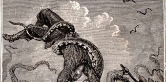 Study: The mysterious, legendary giant squid’s genome is revealed Study: The mysterious, legendary giant squid's genome is revealed