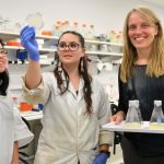 Study: ‘Ancient’ system unlocks cancer secrets Study: ‘Ancient’ system unlocks cancer secrets