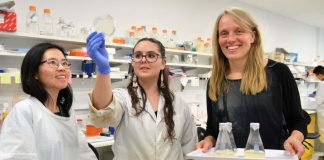 Study: ‘Ancient’ system unlocks cancer secrets Study: ‘Ancient’ system unlocks cancer secrets