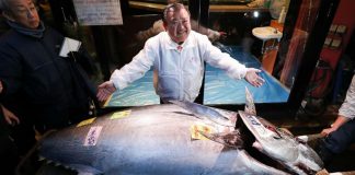 Tokyo: tuna sells for $1.8m at Japan’s new year auction Tokyo: tuna sells for $1.8m at Japan's new year auction