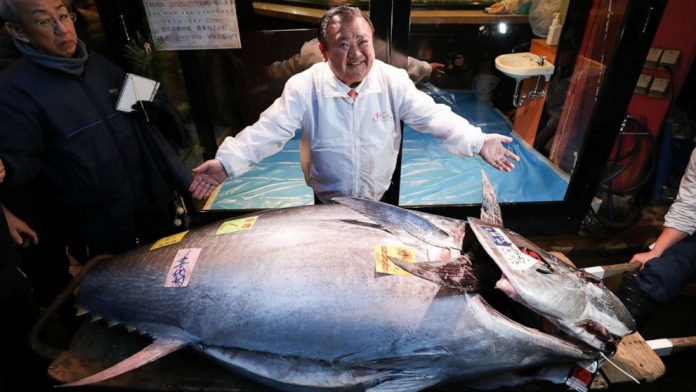 Tokyo: tuna sells for $1.8m at Japan's new year auction