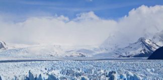 US, Chinese researchers discover ancient viruses in Tibetan glacier US, Chinese researchers discover ancient viruses in Tibetan glacier