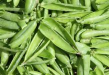 Almost £1 million of funding secured for bioeconomy study Almost £1 million of funding secured for bioeconomy study