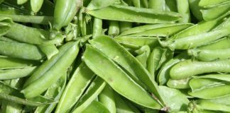 Almost £1 million of funding secured for bioeconomy study Almost £1 million of funding secured for bioeconomy study