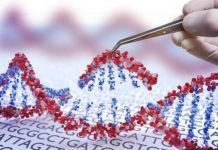 Report: CRISPR gene cuts may offer new way to chart human genome CRISPR gene cuts may offer new way to chart human genome