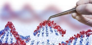 Report: CRISPR gene cuts may offer new way to chart human genome CRISPR gene cuts may offer new way to chart human genome