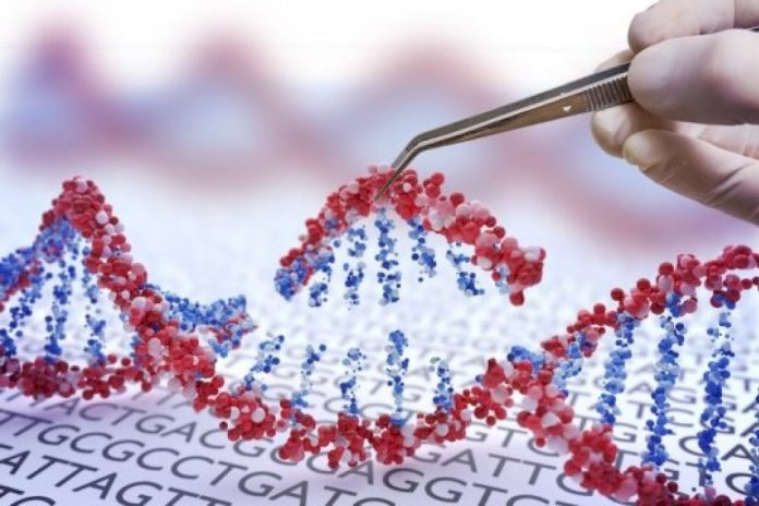 CRISPR gene cuts may offer new way to chart human genome