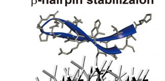 Cheap nanoparticles stimulate immune response to cancer in the lab Cheap nanoparticles stimulate immune response to cancer in the lab