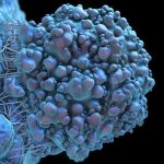 Combination Drug Therapy For Childhood Brain Tumors Shows Promise In Laboratory Models Combination Drug Therapy For Childhood Brain Tumors Shows Promise In Laboratory Models