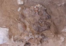 Report: Discovery at ‘flower burial’ site could unravel mystery of Neanderthal death rites Discovery at 'flower burial' site could unravel