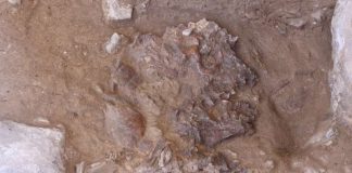 Report: Discovery at ‘flower burial’ site could unravel mystery of Neanderthal death rites Discovery at 'flower burial' site could unravel