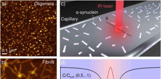 Equations describe chemical reactions responsible for the formation of protein aggregates associated with illnesses like Alzheimer’s disease Equations describe chemical reactions responsible for the formation of protein aggregates associated with illnesses like Alzheimer's disease