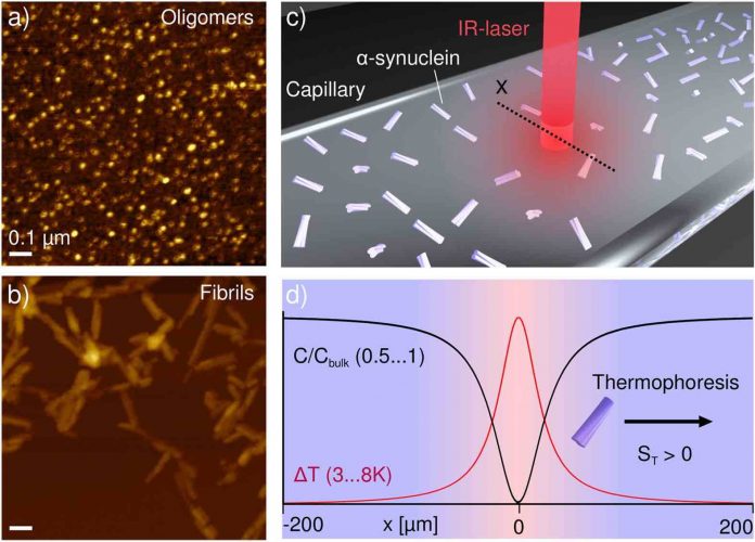 Equations describe chemical reactions responsible for the formation of protein aggregates associated with illnesses like Alzheimer's disease