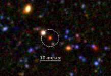 Exploring strangeness and the primordial Universe (Study) Exploring strangeness and the primordial Universe (Study)