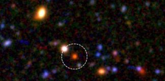 Exploring strangeness and the primordial Universe (Study) Exploring strangeness and the primordial Universe (Study)