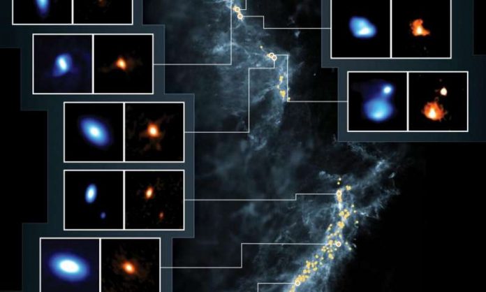 How newborn stars prepare for the birth of planets