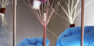 Report: Human textiles to repair blood vessels — Tdnews Human textiles to repair blood vessels