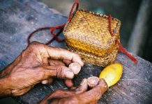 Hunter-gatherer networks accelerated human evolution (Study) Hunter-gatherer networks accelerated human evolution (Study)