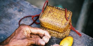 Hunter-gatherer networks accelerated human evolution (Study) Hunter-gatherer networks accelerated human evolution (Study)