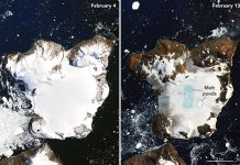 NASA satellite images reveal dramatic melting in Antarctica, Report NASA satellite images reveal dramatic melting in Antarctica, Report