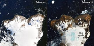 NASA satellite images reveal dramatic melting in Antarctica, Report NASA satellite images reveal dramatic melting in Antarctica, Report