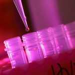 Study: Oxford coronavirus vaccine produces strong immune response in older adults Study: Oxford coronavirus vaccine produces strong immune response in older adults