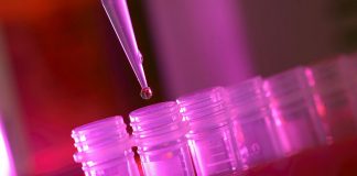 Study: Oxford coronavirus vaccine produces strong immune response in older adults Study: Oxford coronavirus vaccine produces strong immune response in older adults