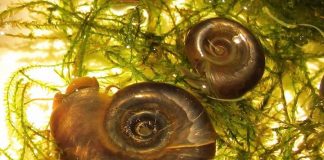 Study: New efforts provide additional avenues for discovery New efforts provide additional avenues for discovery