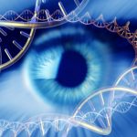 New gene therapy method improves vision in mice with congenital blindness — Tdnews New gene therapy method improves vision in mice with congenital blindness -- Tdnews